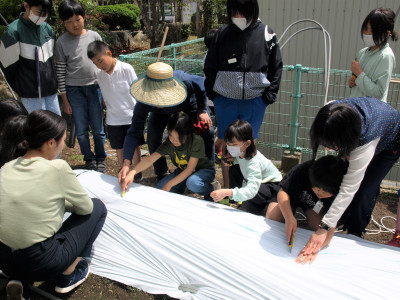 自然薯マルチ張り (7)