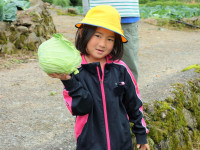 DSC07705