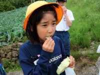 DSC07787