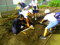 朝のお話会・自然薯うえ (10)