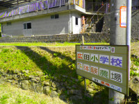 P5090506