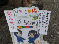 DSCN5882