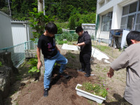 プランター植え替え (1)