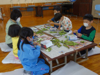 そら豆のさやとり (3)