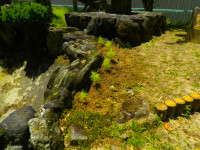 花壇植え替え (1)