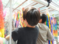 DSCN5905