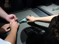 DSCN5910