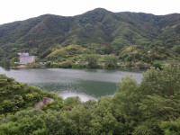 DSC06996