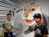 DSC07035