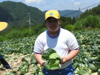 DSCN6163