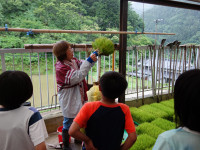 DSC07419