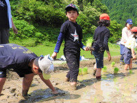 田植え (1)