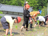 田植え (17)