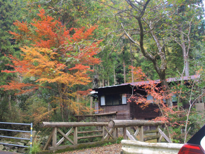 地層見学　6年生 (6)