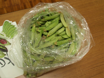２・３年生　えんどう豆さやむき (3)
