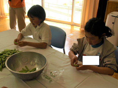 ２・３年生　えんどう豆さやむき (6)
