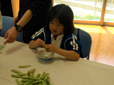 ２・３年生　えんどう豆さやむき (9)