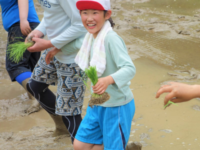 田植え (5)