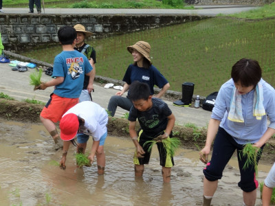 田植え (8)