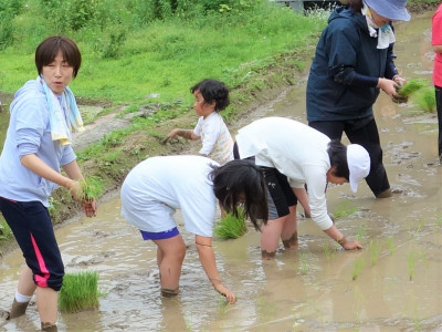 田植え (11)