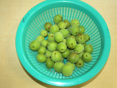 P1018802