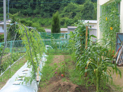 学校園　夏 (2)