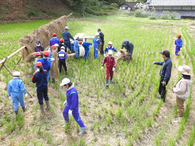 脱穀・もみすり (11)