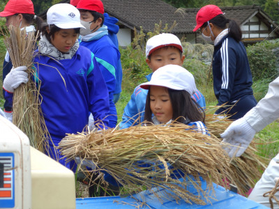 脱穀・もみすり (2)