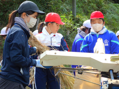 脱穀・もみすり (6)