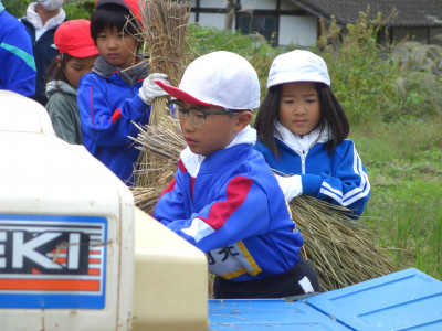 脱穀・もみすり (3)