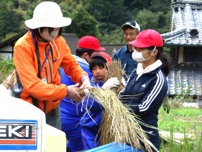 脱穀・もみすり (7)