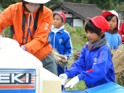 脱穀・もみすり (4)