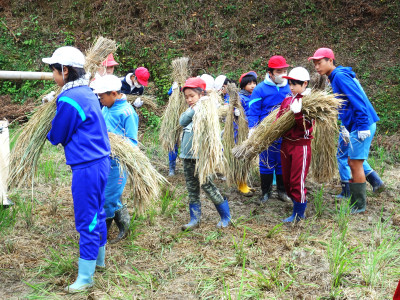 脱穀・もみすり (8)