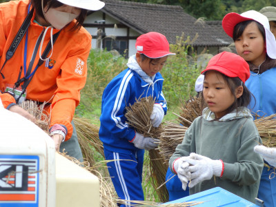 脱穀・もみすり (5)