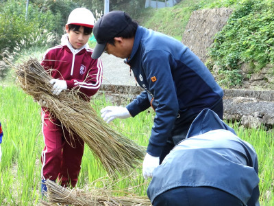 脱穀・もみすり (10)