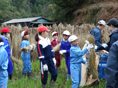 脱穀・もみすり (9)