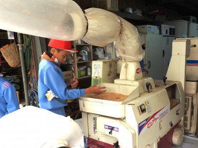 脱穀・もみすり (16)