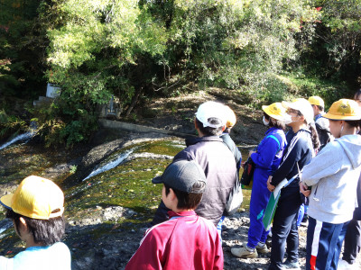 ５・６年生　地層見学 (3)