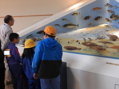 お別れ遠足 (11)