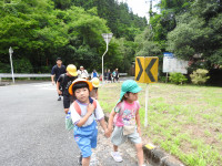 DSCN6974
