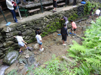 DSCN7097