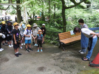 DSCN7126