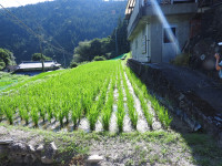 DSCN7301