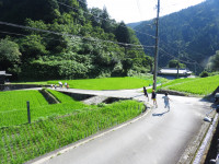 DSCN7303