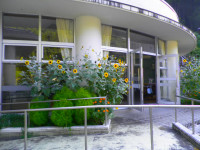P8311555