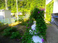 P8311557