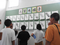 DSCN8284